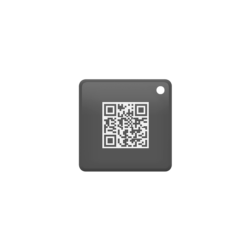 Biges 365 BGS365-RFT IoT RFID Tag